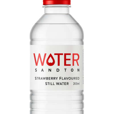 Sandton Water Flavoured Still Prepared Water